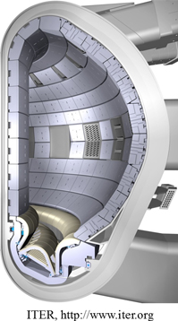 ITERのポロイダル断面のイラスト